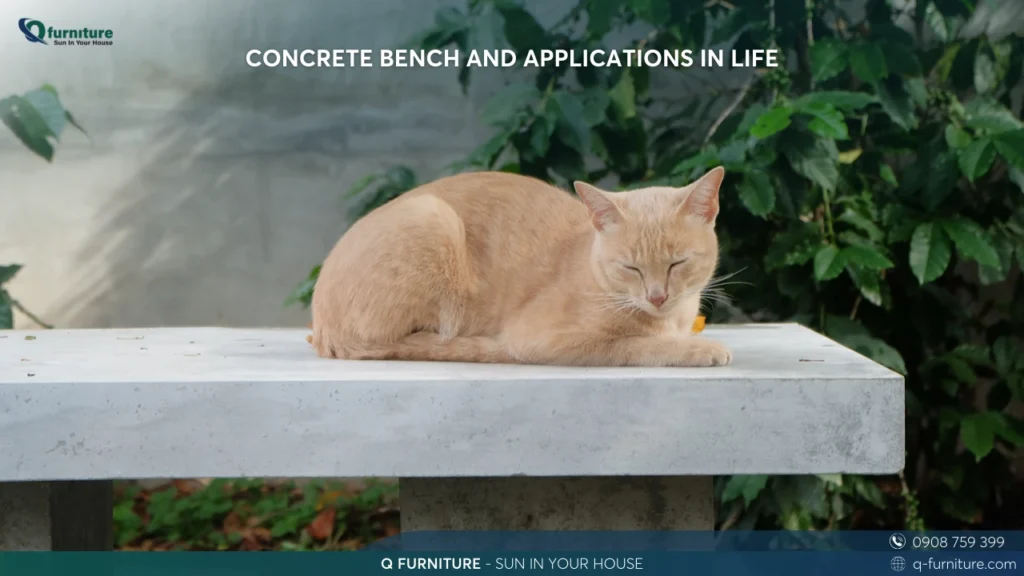 CONCRETE BENCH AND APPLICATIONS IN LIFE