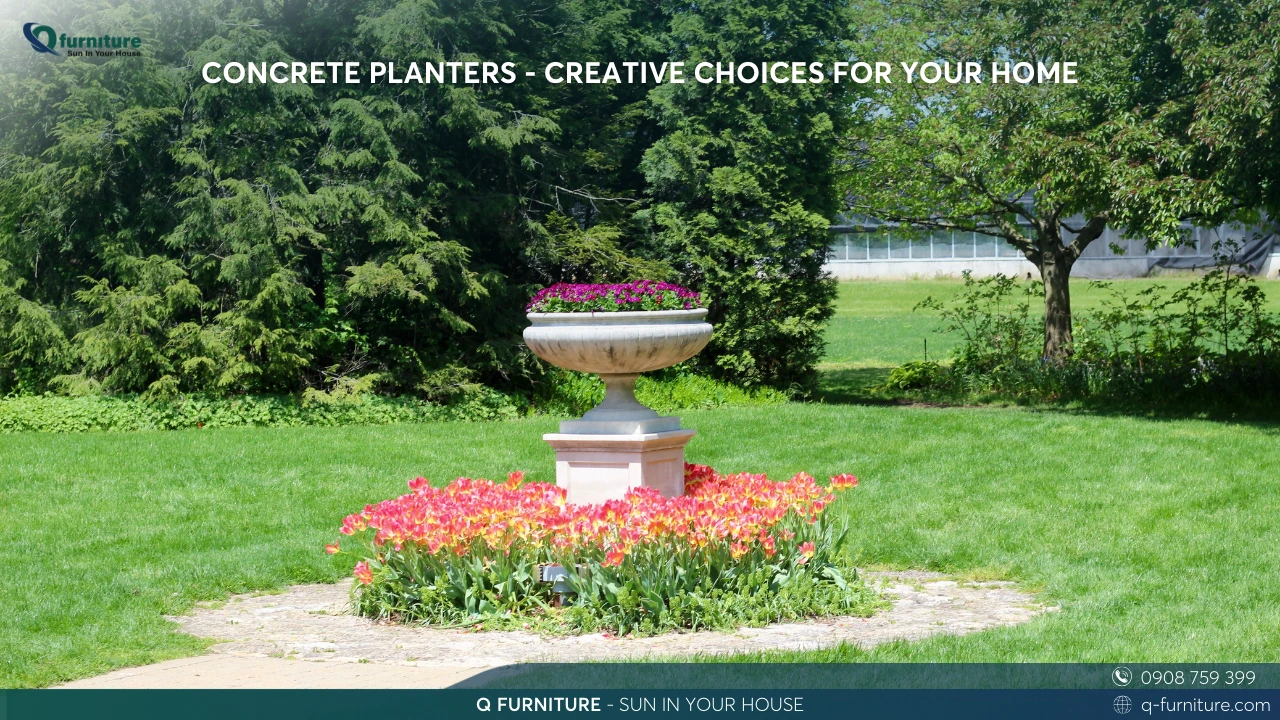 CONCRETE PLANTERS - CREATIVE CHOICES FOR YOUR HOME