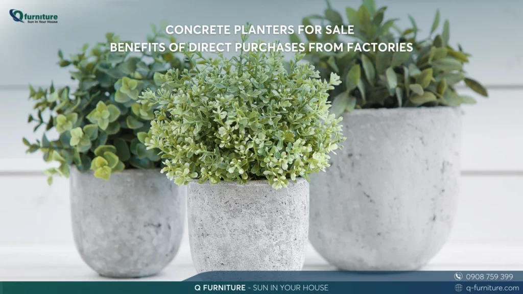 CONCRETE PLANTERS FOR SALE - BENEFITS OF DIRECT PURCHASES FROM FACTORIES