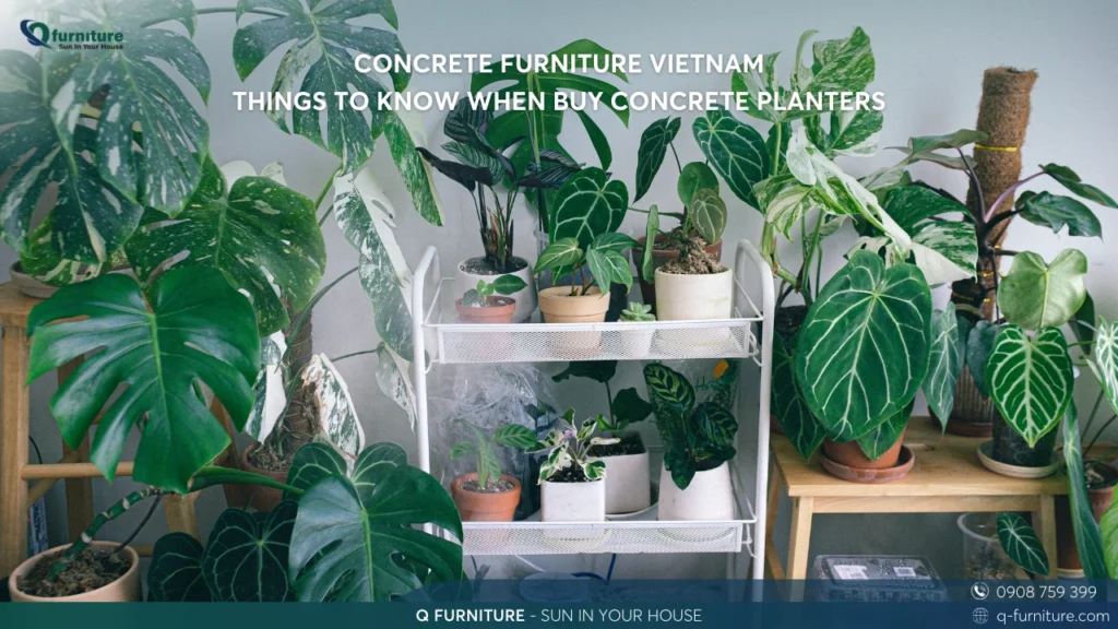 CONCRETE FURNITURE VIETNAM - THINGS TO KNOW WHEN BUY CONCRETE PLANTERS
