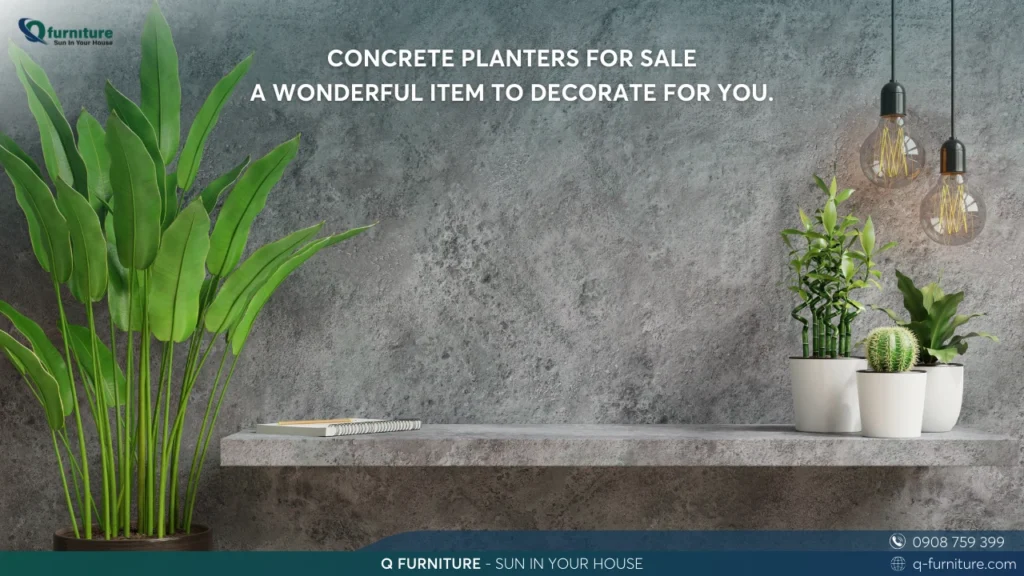 CONCRETE PLANTERS FOR SALE A WONDERFUL ITEM TO DECORATE FOR YOU.