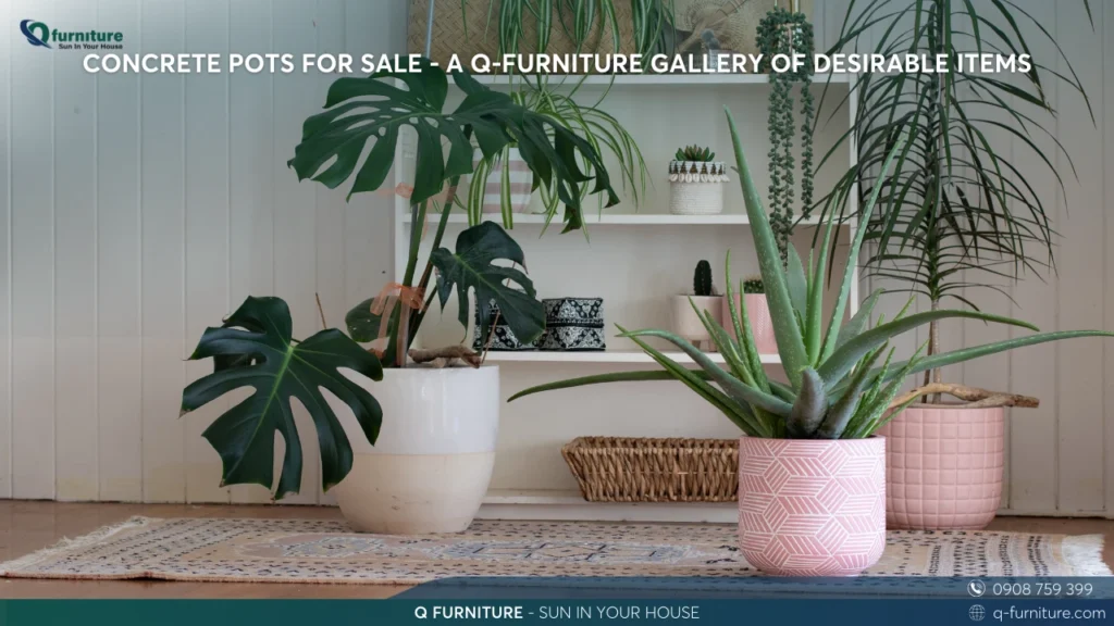 CONCRETE POTS FOR SALE - A Q-FURNITURE GALLERY OF DESIRABLE ITEMS