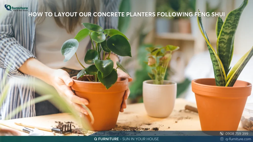 HOW TO LAYOUT OUR CONCRETE PLANTERS FOLLOWING FENG SHUI