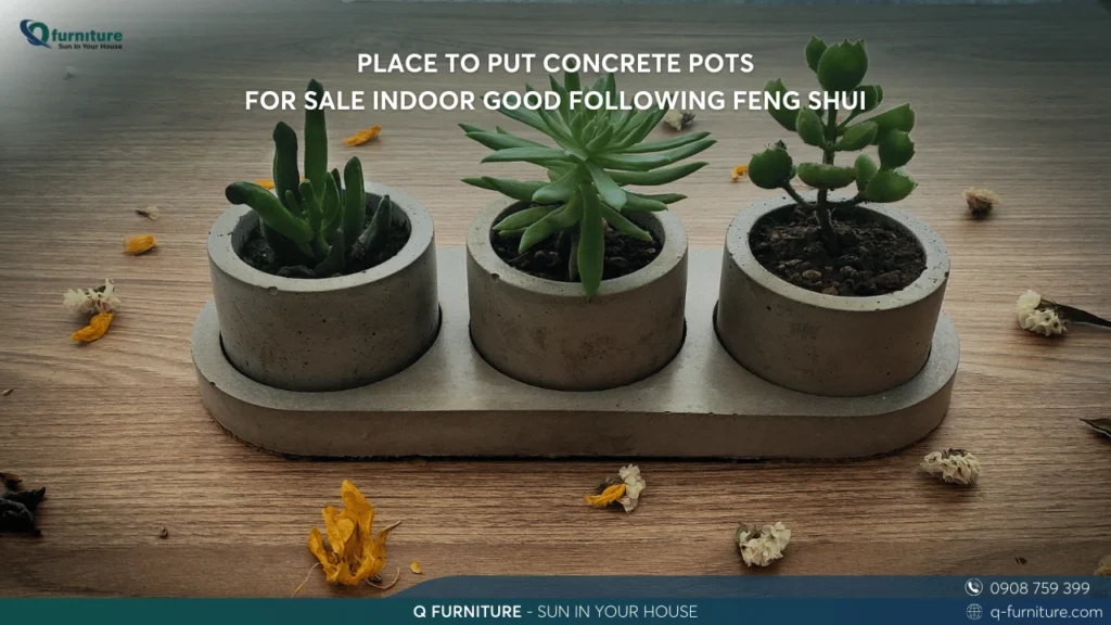 PLACE TO PUT CONCRETE POTS FOR SALE INDOOR GOOD FOLLOWING FENG SHUI
