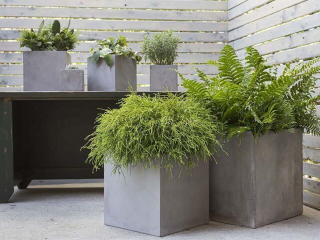 Does Your Concrete Planters Square Need A Drainage Hole