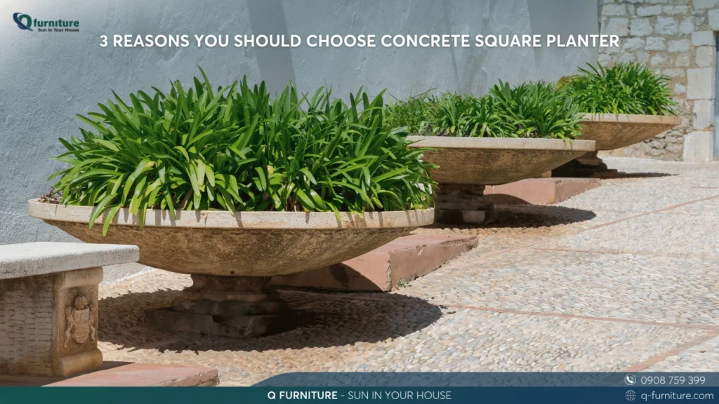 3 REASONS YOU SHOULD CHOOSE CONCRETE SQUARE PLANTER
