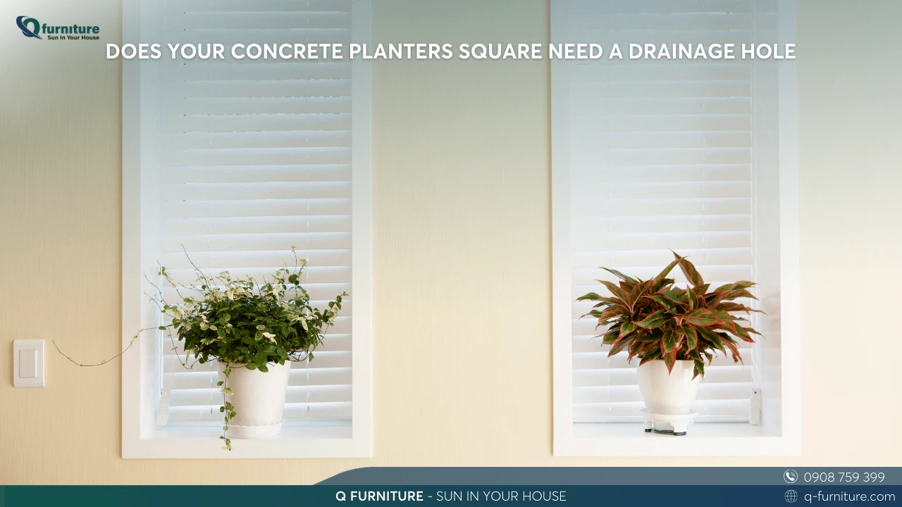 DOES YOUR CONCRETE PLANTERS SQUARE NEED A DRAINAGE HOLE