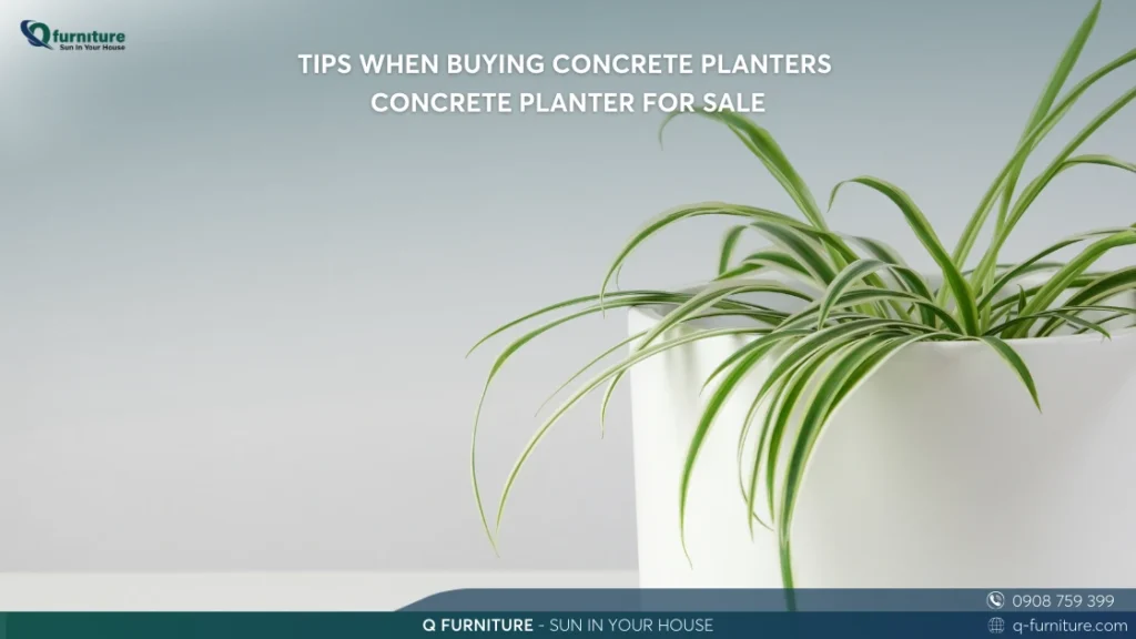 TIPS WHEN BUYING CONCRETE PLANTERS - CONCRETE PLANTER FOR SALE
