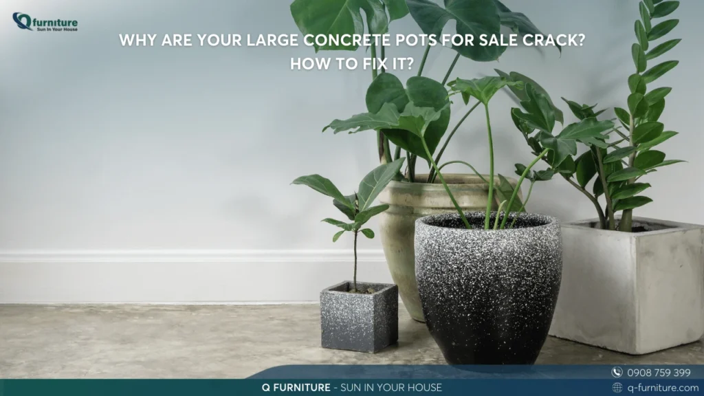 WHY ARE YOUR LARGE CONCRETE POTS FOR SALE CRACK HOW TO FIX IT