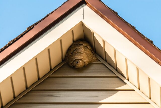 How to keep bugs out of outdoor storage