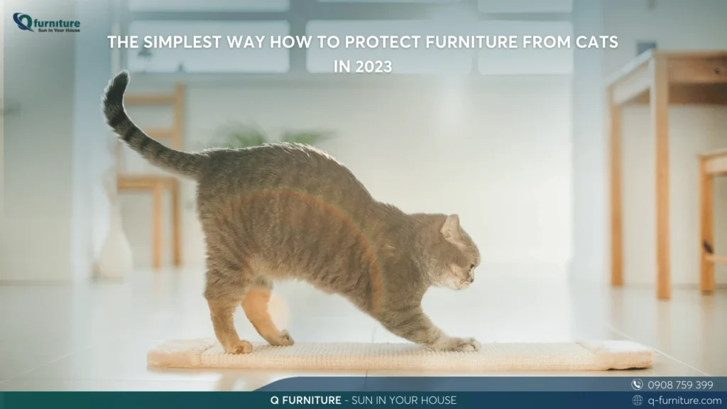 THE SIMPLEST WAY HOW TO PROTECT FURNITURE FROM CATS IN 2023 (1)