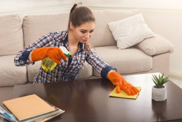 Clean the furniture thoroughly.