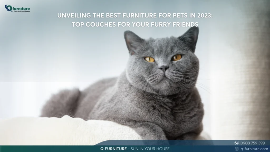 UNVEILING THE BEST FURNITURE FOR PETS IN 2023 TOP COUCHES FOR YOUR FURRY FRIENDS (1)