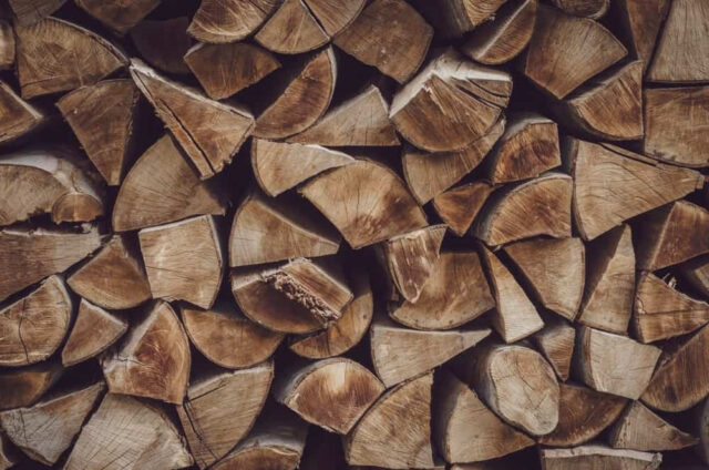 Walnut